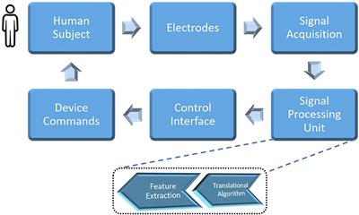 Status of deep learning for EEG-based brain–computer interface applications